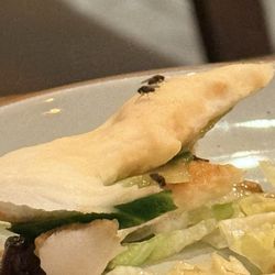 Token Ramen - Flies hanging out on appetizer plate that wasn't picked up