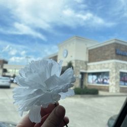 Houston Swim Club - Cypress - The instructors gave all the kids flowers to give to there mom for Mother's Day