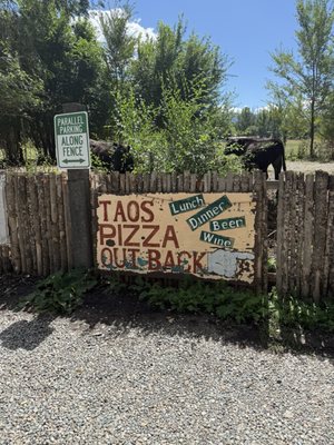 Taos Pizza Out Back by null