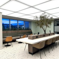 Star Alliance Lounge - Live tree