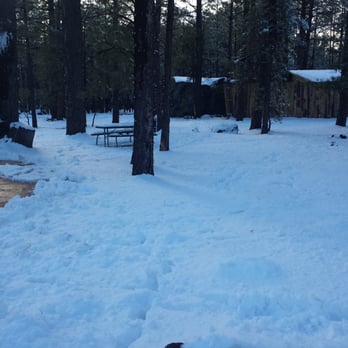 Bearizona - Zoos Near Me - Williams, Arizona