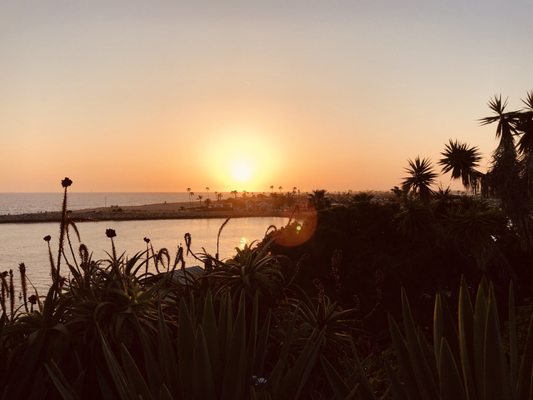 Corona Del Mar State Beach 923 Photos 361 Reviews Beaches