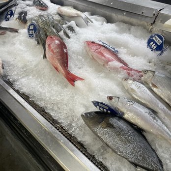 Quality Seafood - Fish selection - Seafood Markets Near Me - Redondo Beach, California Quality Seafood - Fish selection - Seafood Markets Near Me - Redondo Beach, California