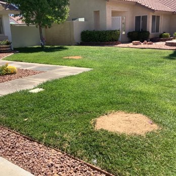 Diamond Tree Service - Tree Services Near Me
