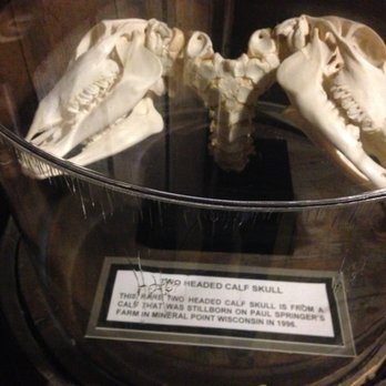 Ripley's Believe It Or Not - Museums Near Me - Wisconsin Dells, Wisconsin Ripley's Believe It Or Not - Museums Near Me - Wisconsin Dells, Wisconsin