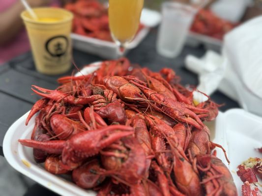 Bayou Beer Garden by null