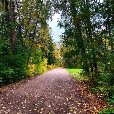 Sir Wilfrid Laurier Park by null