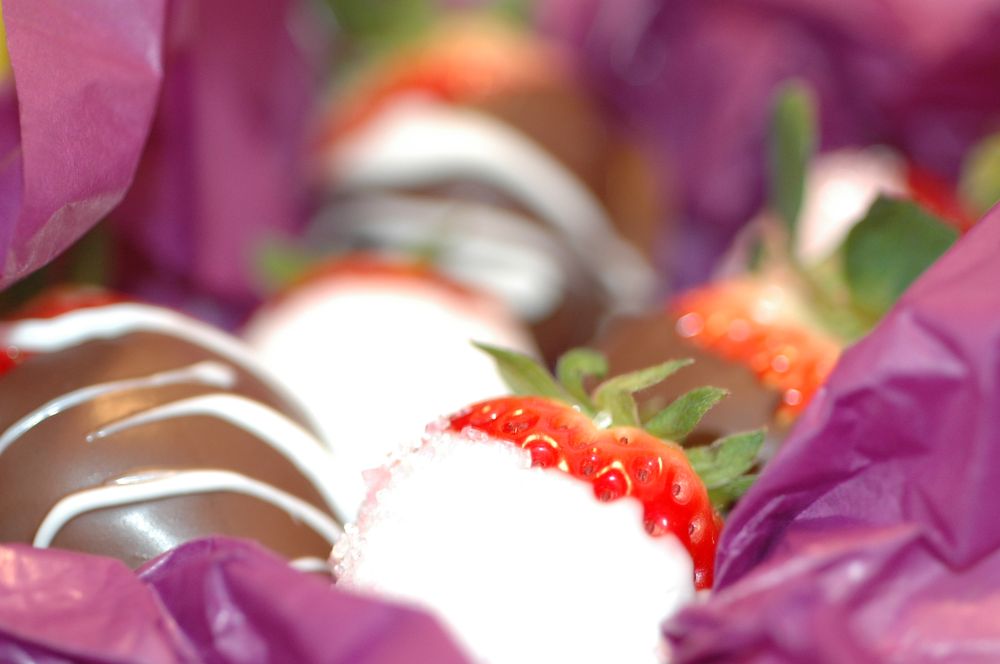 ZAX CHOCOLATES Updated May 2024 13 Photos Jacksonville, Florida