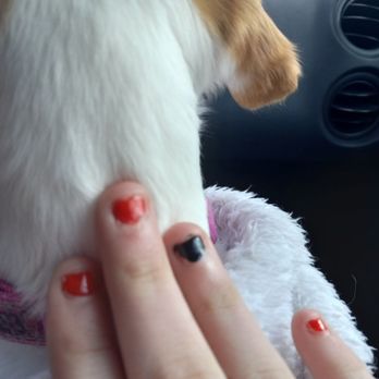 Top Nails & Spa - I asked for long nail and this is what I got - Nail Technicians Near Me - Midland, Michigan Top Nails & Spa - I asked for long nail and this is what I got - Nail Technicians Near Me - Midland, Michigan