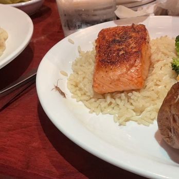 Cheddar's Scratch Kitchen - A bug. - Comfort Food Near Me - Alcoa, Tennessee