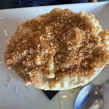 The Cove - Lobster mac and cheese - Seafood Near Me - Deerfield Beach, Florida The Cove - Lobster mac and cheese - Seafood Near Me - Deerfield Beach, Florida