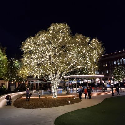 Woodlands Market Street Christmas Tree 2022 Market Street - 209 Photos & 63 Reviews - Shopping Centres - 9595 Six Pines  Dr, The Woodlands, Tx, United States - Phone Number - Yelp