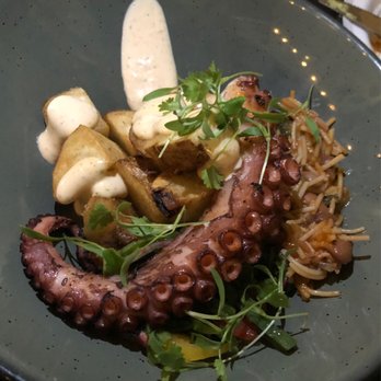 Maestro Restaurant - Octopus - sooo tender - Cocktail Bars Near Me - Pasadena, California Maestro Restaurant - Octopus - sooo tender - Cocktail Bars Near Me - Pasadena, California
