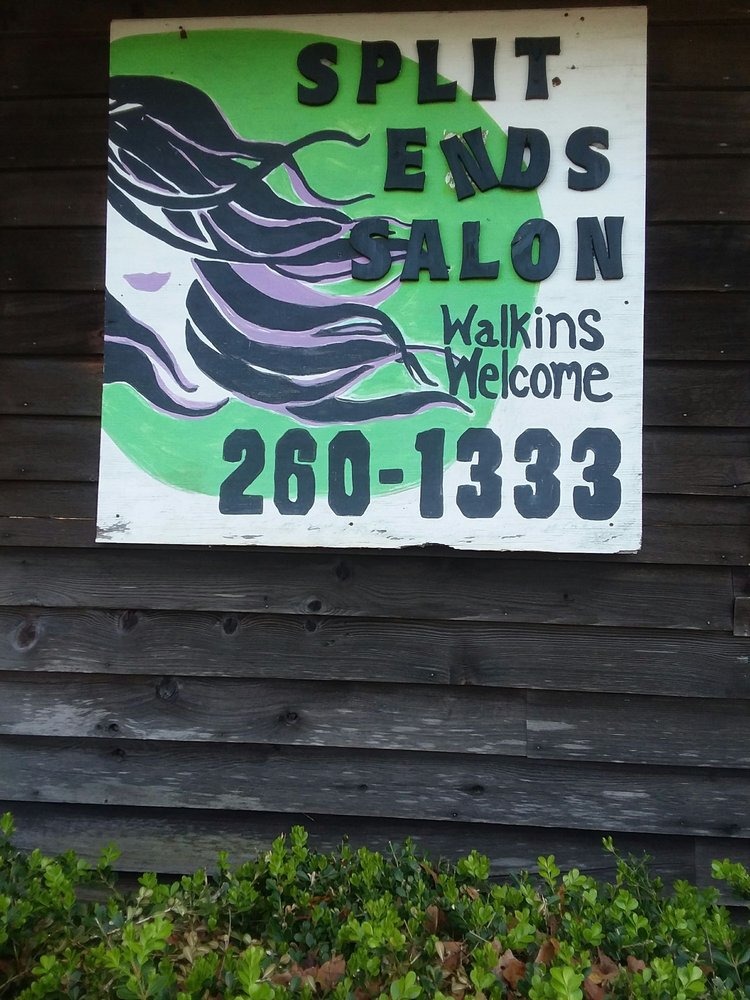 Split Ends Salon Logo