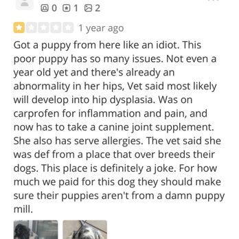 Town Pets - Pet Stores Near Me - Las Vegas, Nevada