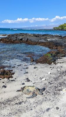 Holoholokai Beach Park Rd by null