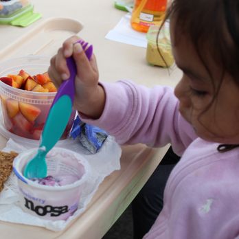 Cedar Creek Montessori School - Preschools Near Me - Berkeley, California Cedar Creek Montessori School - Preschools Near Me - Berkeley, California