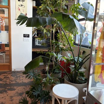 Hello Em Viet Coffee & Roastery - Coffee Roasteries Near Me - Seattle, Washington Hello Em Viet Coffee & Roastery - Coffee Roasteries Near Me - Seattle, Washington