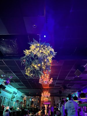The Sylvester by null