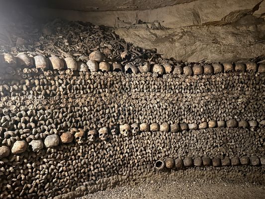Catacombs of Paris by null