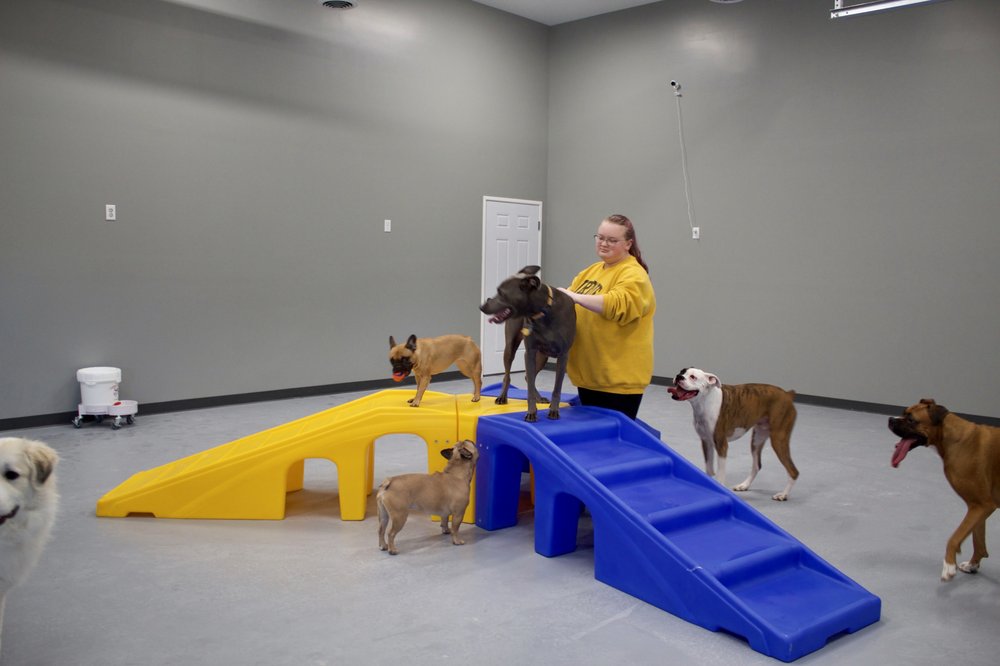 POOCH PALACE RESORT 15 Photos Pet Boarding 2833 US 52 W, West