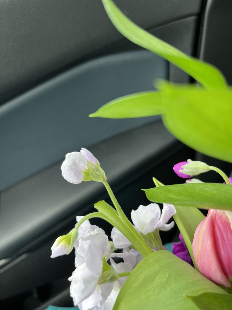 SUWANEE TOWNE FLORIST 47 Photos & 43 Reviews 602 Buford Hwy