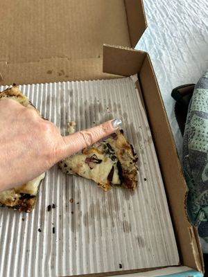 Pizza Cat by null