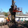 Photo of Hoptons Tree Service