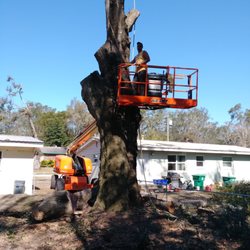Hoptons Tree Service