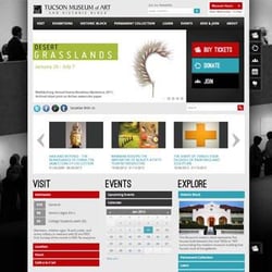 Anchor Wave Digital Marketing Agency - Tucson Museum of Art Website Design