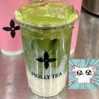 Molly Tea - Camellia Matcha - Bubble Tea Near Me - New York, New York Molly Tea - Camellia Matcha - Bubble Tea Near Me - New York, New York