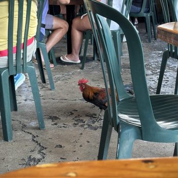 Two Friends Patio - Seafood Near Me - Key West, Florida Two Friends Patio - Seafood Near Me - Key West, Florida