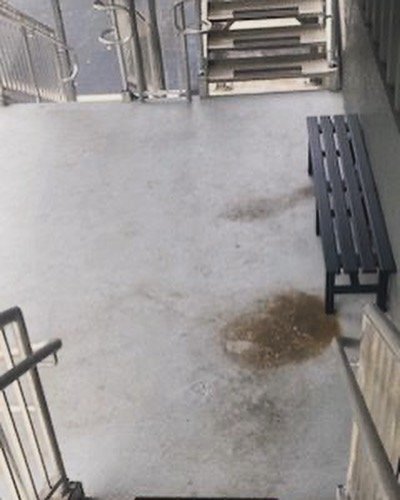 Slide of WegoDaDistance