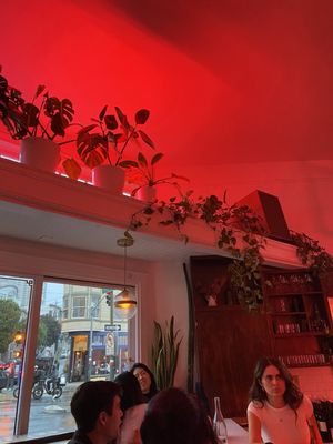 Bodega North Beach by null