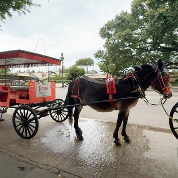 Jackson Square - Parks Near Me - New Orleans, Louisiana Jackson Square - Parks Near Me - New Orleans, Louisiana