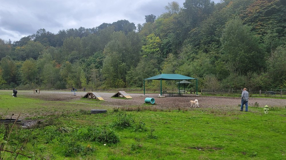 CEDAR RIVER DOG PARK 48 Photos & 64 Reviews 1500 Houser Way S