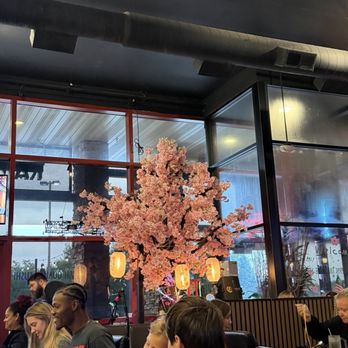 Hana Ramen Sushi - Cherry blossom - Sushi Bars Near Me - West Des Moines, Iowa Hana Ramen Sushi - Cherry blossom - Sushi Bars Near Me - West Des Moines, Iowa