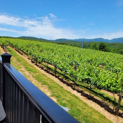 Kaya Vineyard & Winery by null