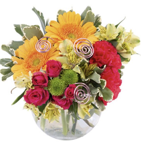 ANGELINE’S FLORIST & GREENHOUSE Updated April 2024 33 Washington