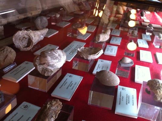 Museo Geominero by null