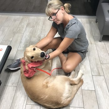 1st Pet Veterinary Centers - North Valley - Waiting for doc - Veterinarians Near Me - Phoenix, Arizona 1st Pet Veterinary Centers - North Valley - Waiting for doc - Veterinarians Near Me - Phoenix, Arizona