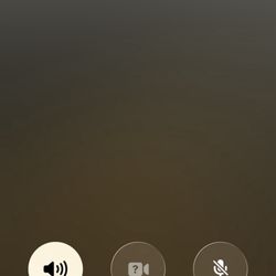 Walgreens - Fourth day of being on hold for over ten minutes with no response. Just clicked back to hold when the phone euros start ringing again.