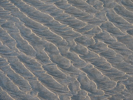 Beachside State Park by null
