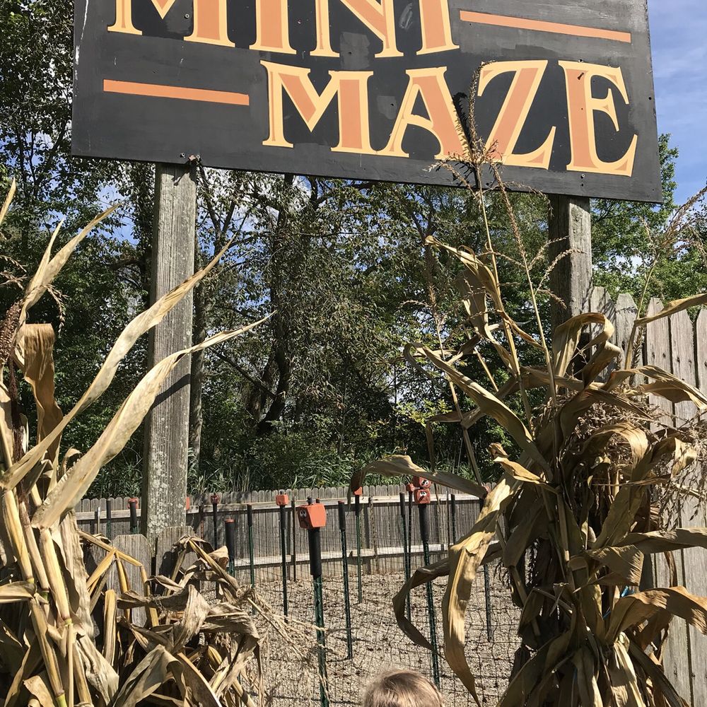 Kingsway Pumpkin Farm - Pumpkin Patches Near Me - Hartville, Ohio Kingsway Pumpkin Farm - Pumpkin Patches Near Me - Hartville, Ohio