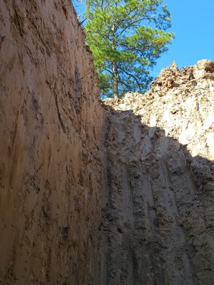 Carbon Sequestration