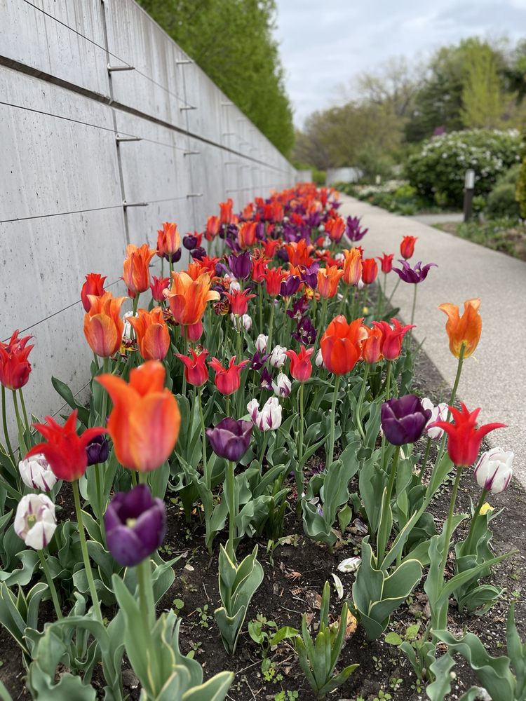 Loving My Skin Spa Logo