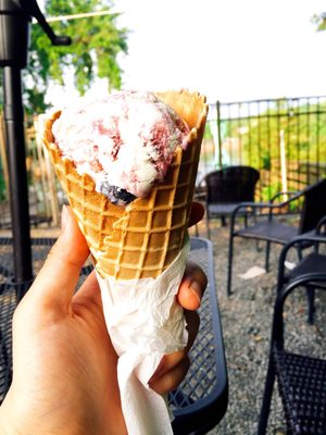 Moo Hope Ice Cream by null