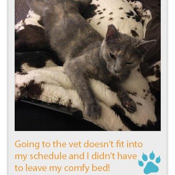 The Travelling Vet - The Travelling Vet LLC cares for cats too! - Veterinarians Near Me The Travelling Vet - The Travelling Vet LLC cares for cats too! - Veterinarians Near Me