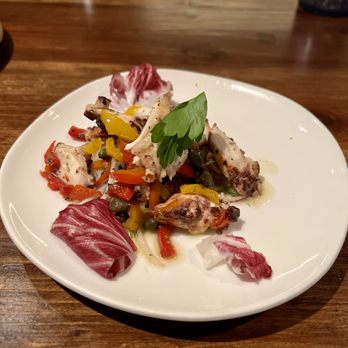 Estia - Octopodi - Greek Near Me - Philadelphia, Pennsylvania