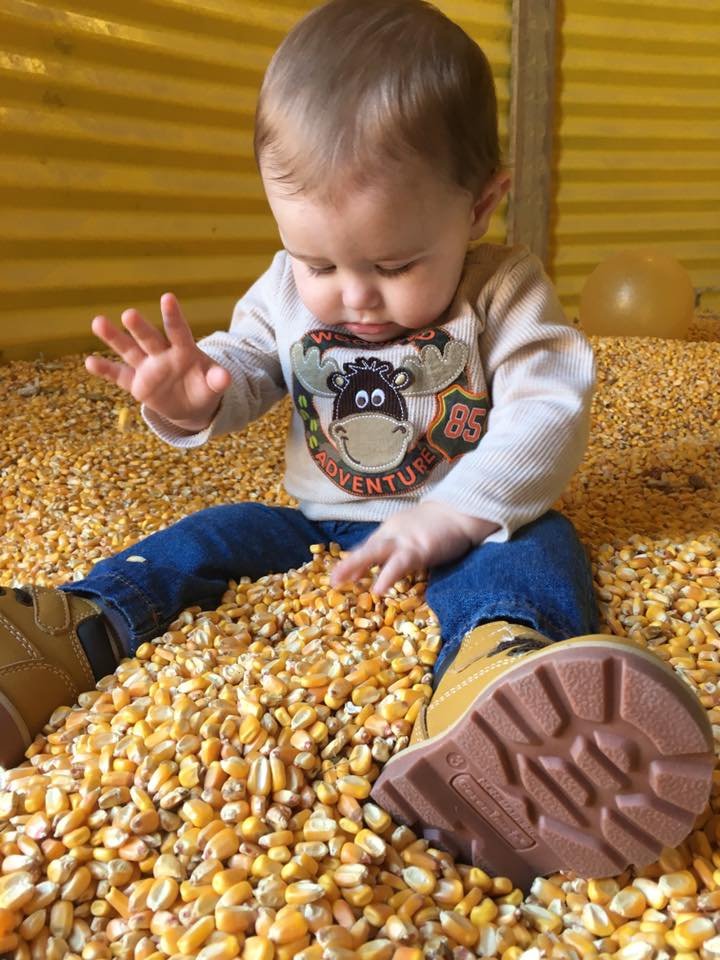 THE FARMER’S BARN Updated September 2024 17 Photos 5825 Joe Brown